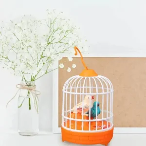 Talking Bird Toys Baby